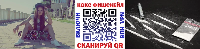  COCAIN Сухиничи