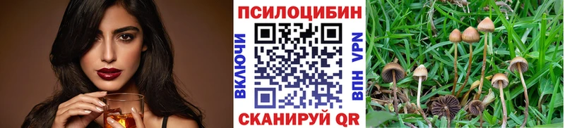 Псилоцибиновые грибы ЛСД  Сухиничи 